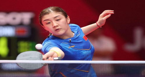 供了宝贵的 供了宝贵的